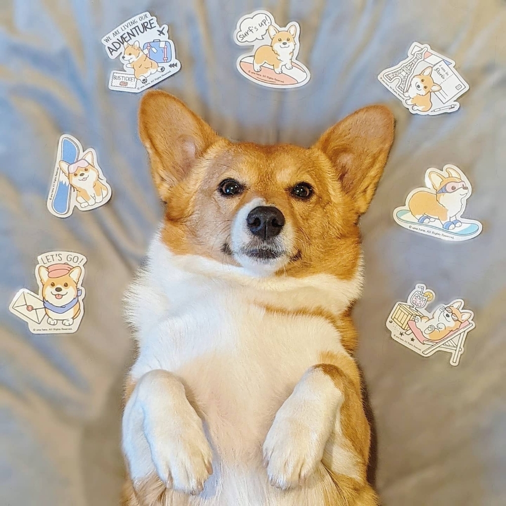 Waterproof Corgi Sticker Beach Relaxing Margarita Puppy - Picture 7 of 8